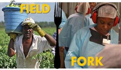 Field to Fork Banner