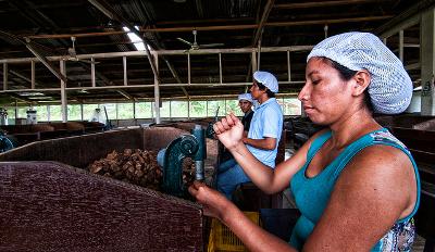 CC BY-NC 2.0, Photo by Marco Simola for Center for International Forestry Research (CIFOR)