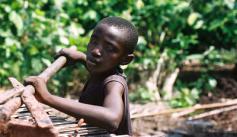 Child raking cocoa in Cote d'Ivoire